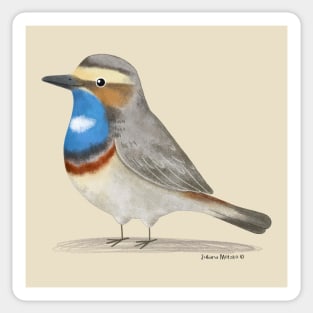 Blue Throat Bird Sticker